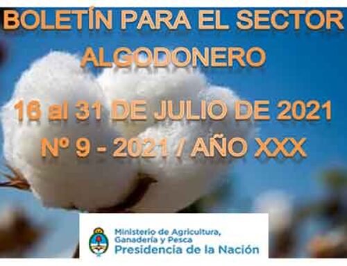 Boletín algodonero – 2º Edición Quincenal Julio 2021 emitido por el Ministerio de Agricultura