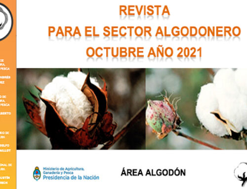 Revista para el Sector Algodonero – Octubre 2021